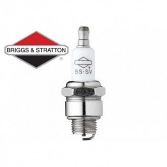 Bujie Briggs & Stratton 992300C